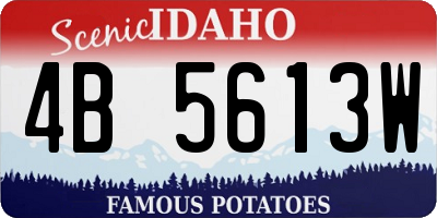 ID license plate 4B5613W