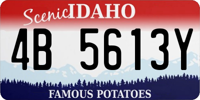 ID license plate 4B5613Y