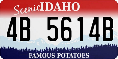 ID license plate 4B5614B
