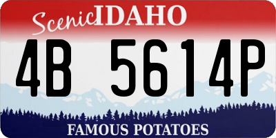 ID license plate 4B5614P