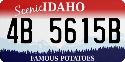 ID license plate 4B5615B