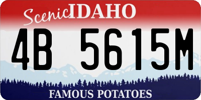 ID license plate 4B5615M