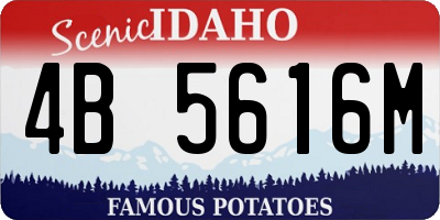 ID license plate 4B5616M