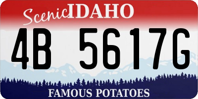 ID license plate 4B5617G