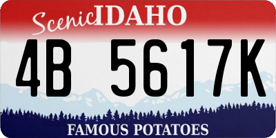 ID license plate 4B5617K
