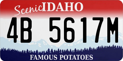 ID license plate 4B5617M