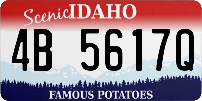 ID license plate 4B5617Q