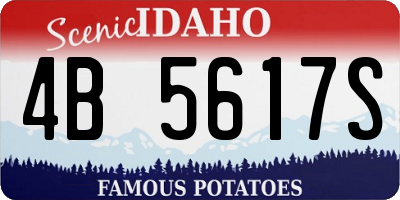 ID license plate 4B5617S