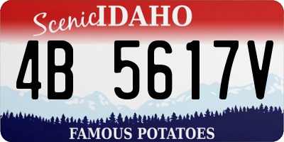 ID license plate 4B5617V
