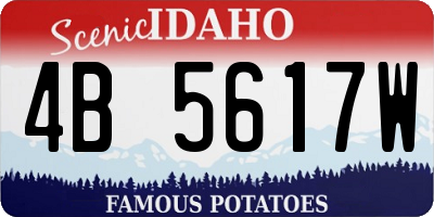 ID license plate 4B5617W
