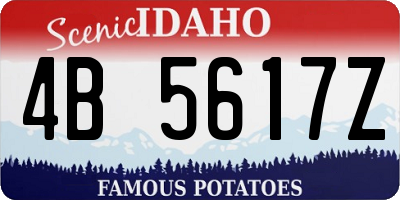 ID license plate 4B5617Z