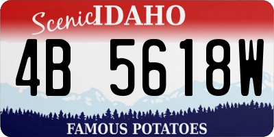 ID license plate 4B5618W
