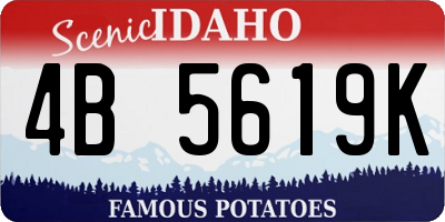 ID license plate 4B5619K
