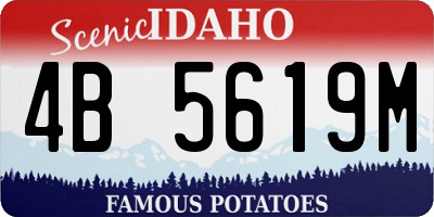 ID license plate 4B5619M