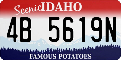 ID license plate 4B5619N