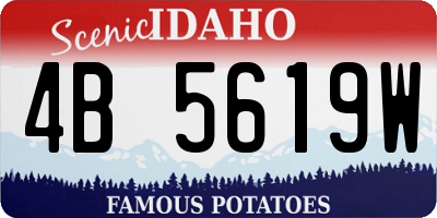ID license plate 4B5619W