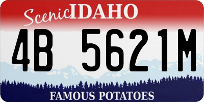 ID license plate 4B5621M