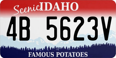 ID license plate 4B5623V