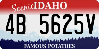 ID license plate 4B5625V