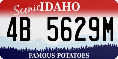 ID license plate 4B5629M