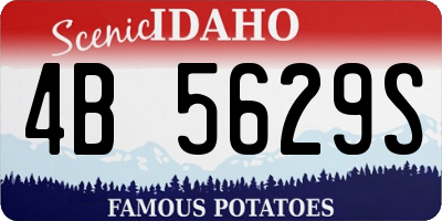 ID license plate 4B5629S