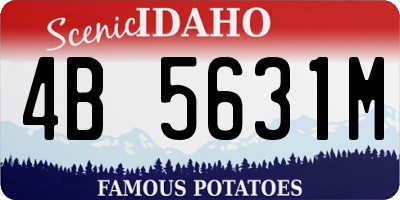 ID license plate 4B5631M