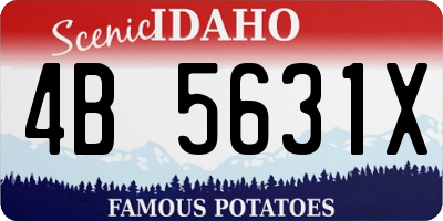 ID license plate 4B5631X