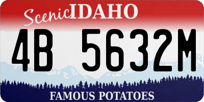 ID license plate 4B5632M