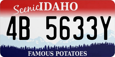 ID license plate 4B5633Y