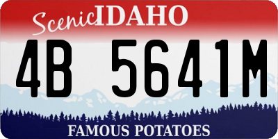 ID license plate 4B5641M