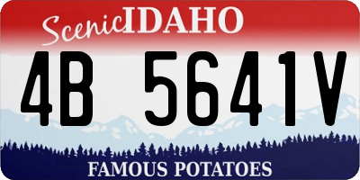 ID license plate 4B5641V