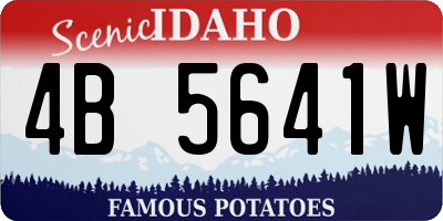 ID license plate 4B5641W