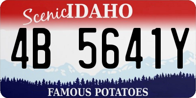 ID license plate 4B5641Y