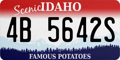 ID license plate 4B5642S
