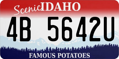 ID license plate 4B5642U