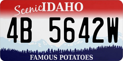 ID license plate 4B5642W