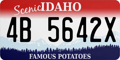 ID license plate 4B5642X