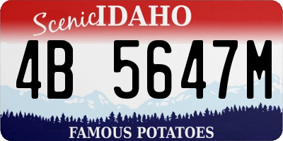 ID license plate 4B5647M