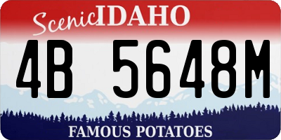 ID license plate 4B5648M