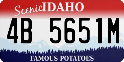 ID license plate 4B5651M