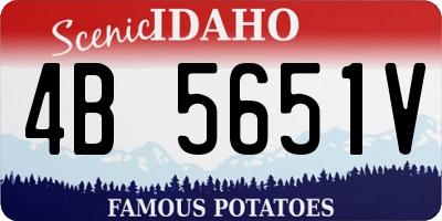 ID license plate 4B5651V
