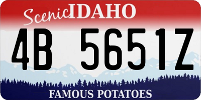 ID license plate 4B5651Z