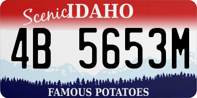 ID license plate 4B5653M