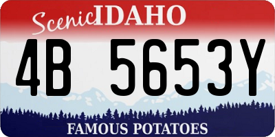 ID license plate 4B5653Y