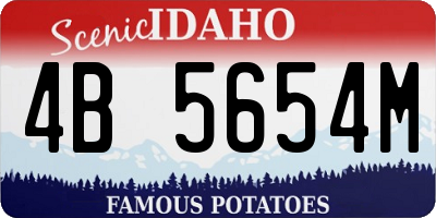 ID license plate 4B5654M