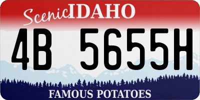 ID license plate 4B5655H