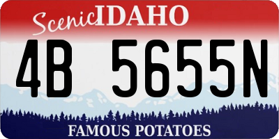 ID license plate 4B5655N