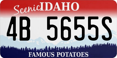 ID license plate 4B5655S