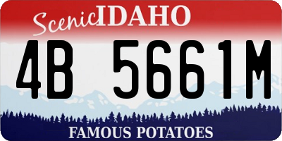 ID license plate 4B5661M