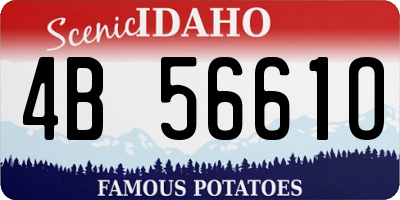 ID license plate 4B5661O